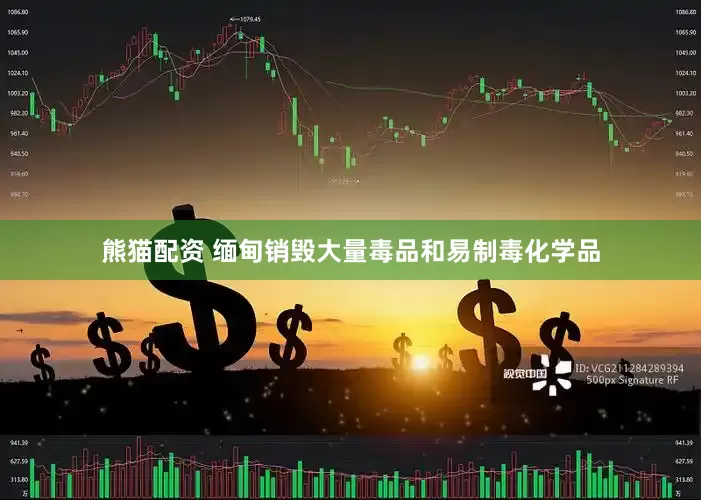 熊猫配资 缅甸销毁大量毒品和易制毒化学品
