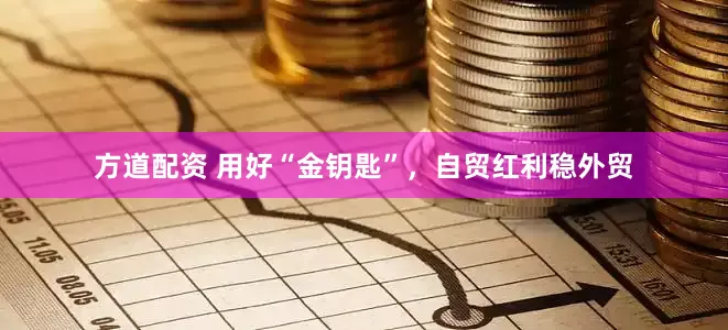 方道配资 用好“金钥匙”，自贸红利稳外贸