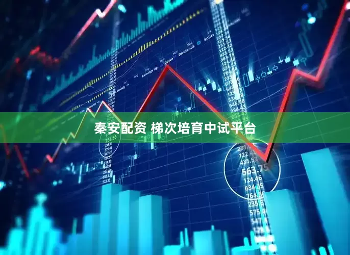 秦安配资 梯次培育中试平台